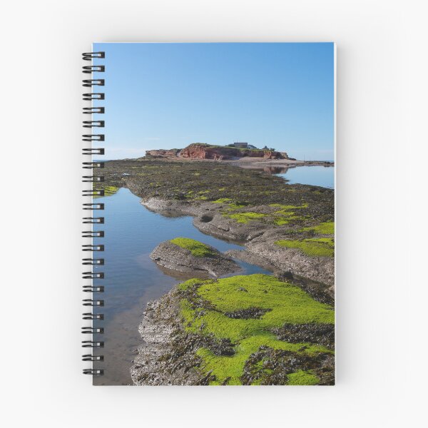 Item preview, Touch of Green on Hilbre designed and sold by neonlightphoto.