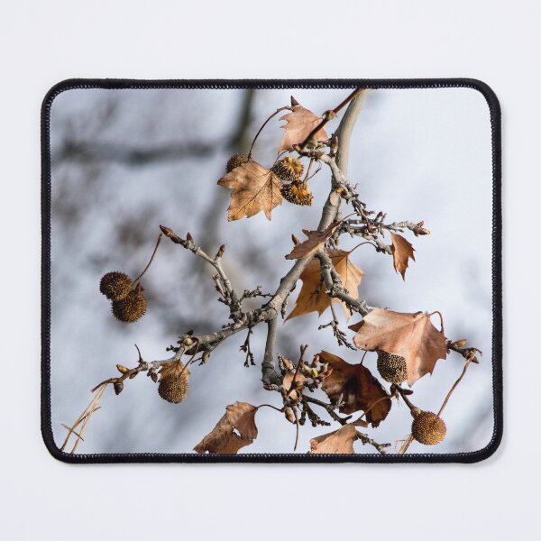 Item preview, Winter Branch designed and sold by MoreGoodArt.