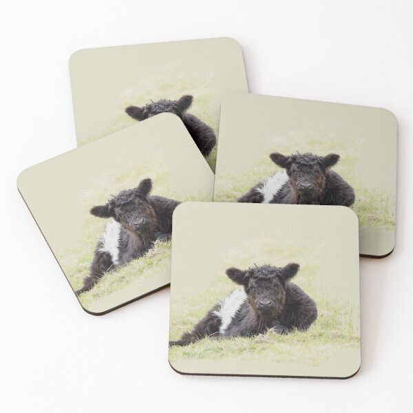 Item preview, Belted Galloway Cow Watercolour Photograph II. designed and sold by Jane Stanley Photography.