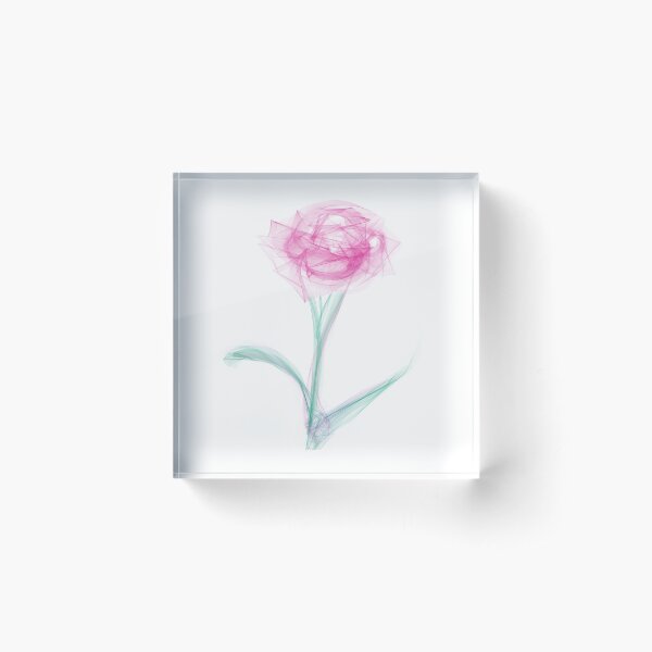 Pink and Green Spring Rose Flower Acrylic Block