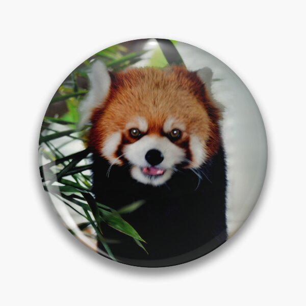 Item preview, Red Panda designed and sold by Savannah Gibbs.