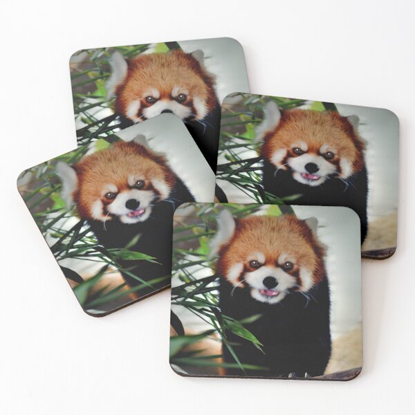 Item preview, Red Panda designed and sold by Savannah Gibbs.