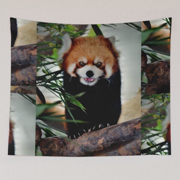 Item preview, Red Panda designed and sold by Savannah Gibbs.