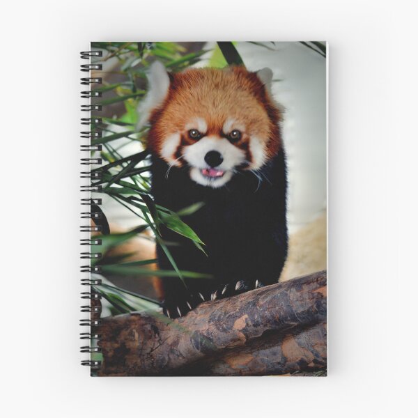 Item preview, Red Panda designed and sold by Savannah Gibbs.