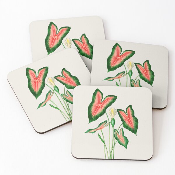 Item preview, Elephant ear (Caladium bicolor)- Botanical Illustration designed and sold by opptop.