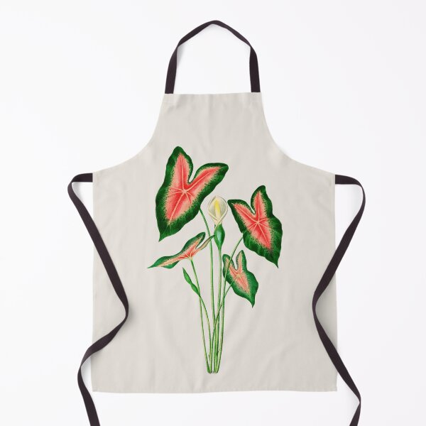 Item preview, Elephant ear (Caladium bicolor)- Botanical Illustration designed and sold by opptop.