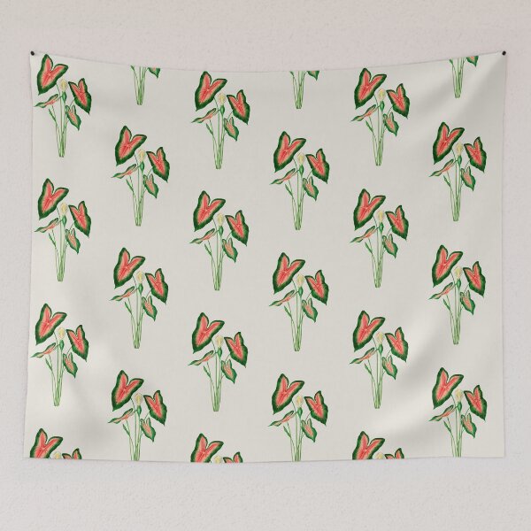 Item preview, Elephant ear (Caladium bicolor)- Botanical Illustration designed and sold by opptop.