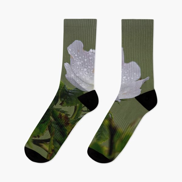 Item preview, Raindrops on English Dog Rose designed and sold by Violaman.