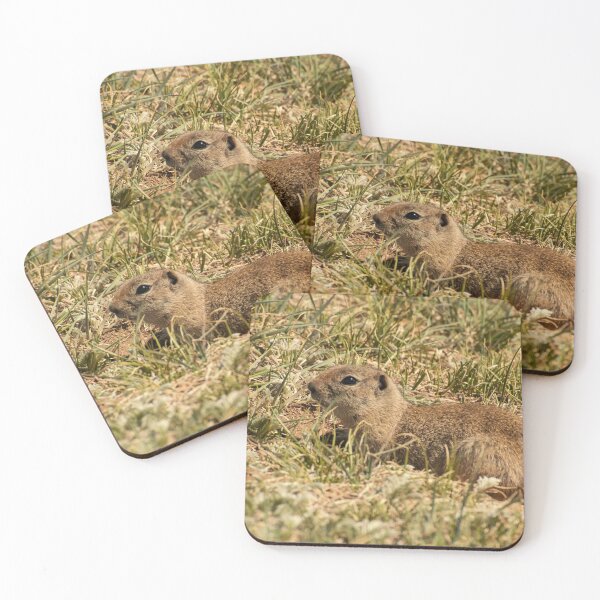 Item preview, Prairie dog designed and sold by Ruth Curtis.