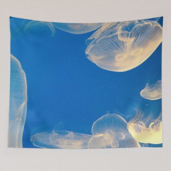 Item preview, Jellyfish designed and sold by sarahgloria.