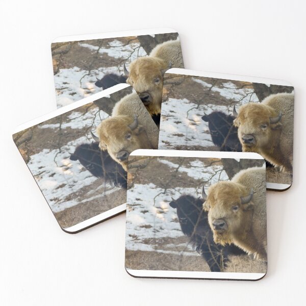 Item preview, Winter Bison designed and sold by Bettie-Scott.