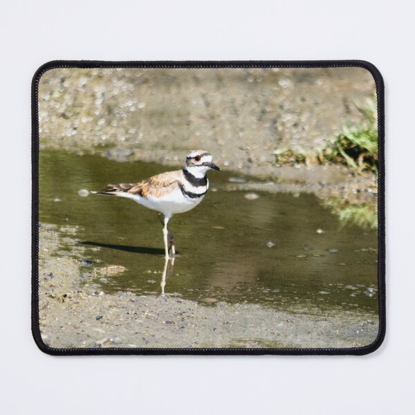 Item preview, Killdeer designed and sold by MoreGoodArt.
