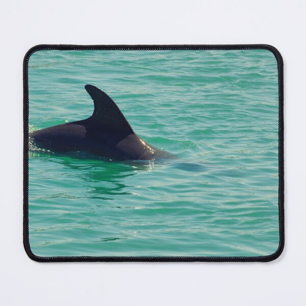 Item preview, Dolphin Swim designed and sold by Ruth Curtis.