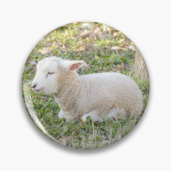 Item preview, Sleeping Lamb in Green Pasture designed and sold by PaulinaS.
