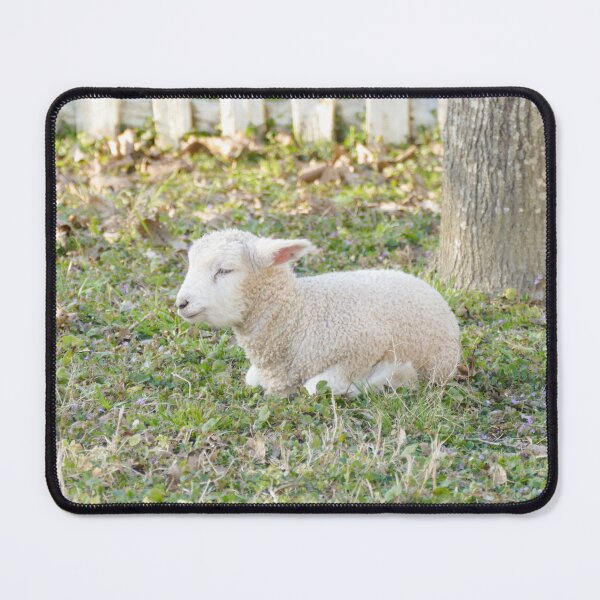 Item preview, Sleeping Lamb in Green Pasture designed and sold by PaulinaS.