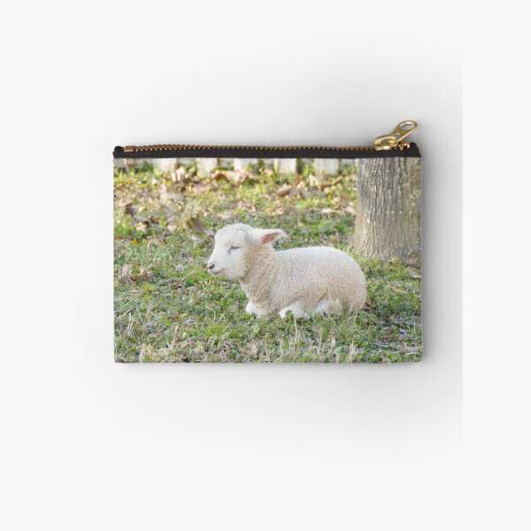 Item preview, Sleeping Lamb in Green Pasture designed and sold by PaulinaS.
