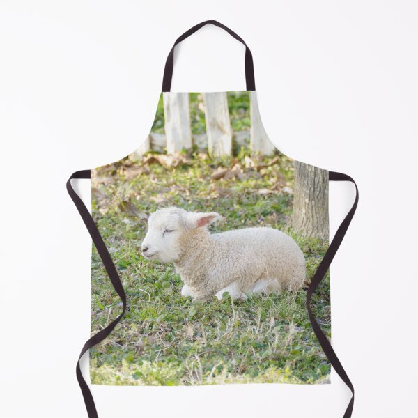 Item preview, Sleeping Lamb in Green Pasture designed and sold by PaulinaS.