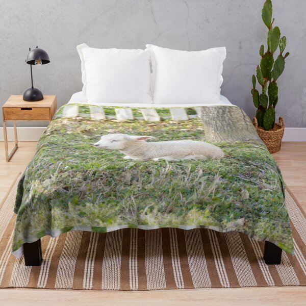 Item preview, Sleeping Lamb in Green Pasture designed and sold by PaulinaS.