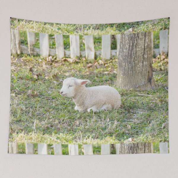 Item preview, Sleeping Lamb in Green Pasture designed and sold by PaulinaS.