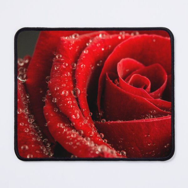 Item preview, Beautiful red rose designed and sold by Quotes-and-plus.