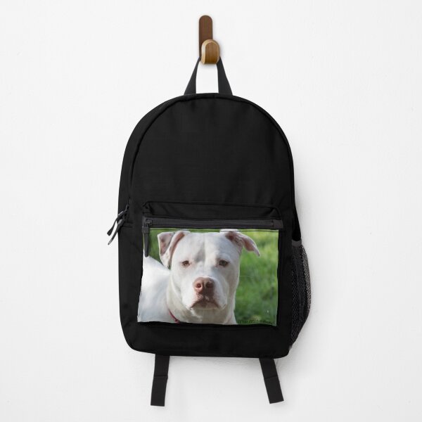 Item preview, Young Pitbull designed and sold by MoreGoodArt.