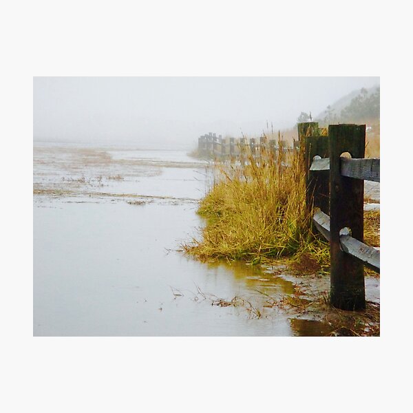 Cape Cod Fog Photographic Print