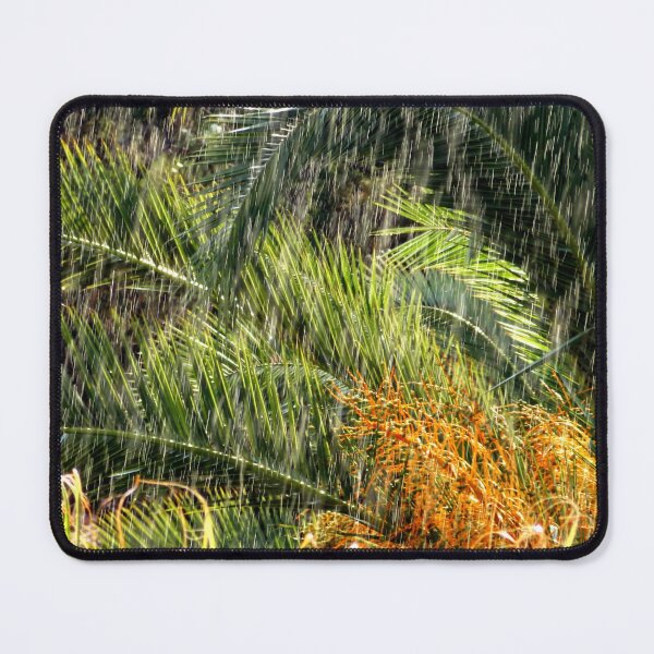 Item preview, Palm Leaves in the Rain - Summer Showers designed and sold by Branislava Tir .