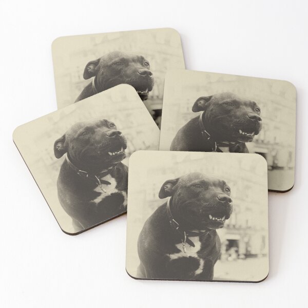 Item preview, Pit Bull Sitting  designed and sold by Dado-29z.