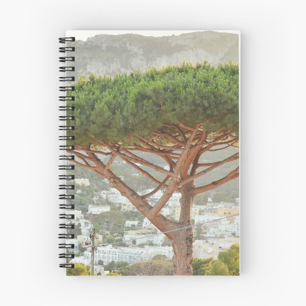Item preview, Italian stone pine tree designed and sold by CarolinaReina.
