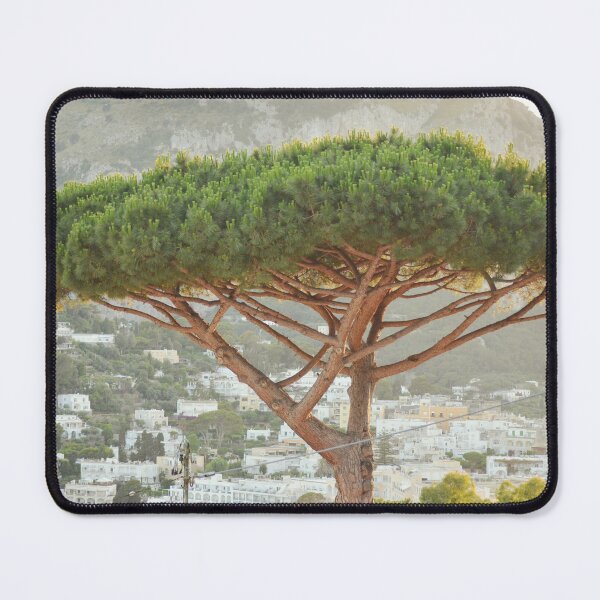 Item preview, Italian stone pine tree designed and sold by CarolinaReina.