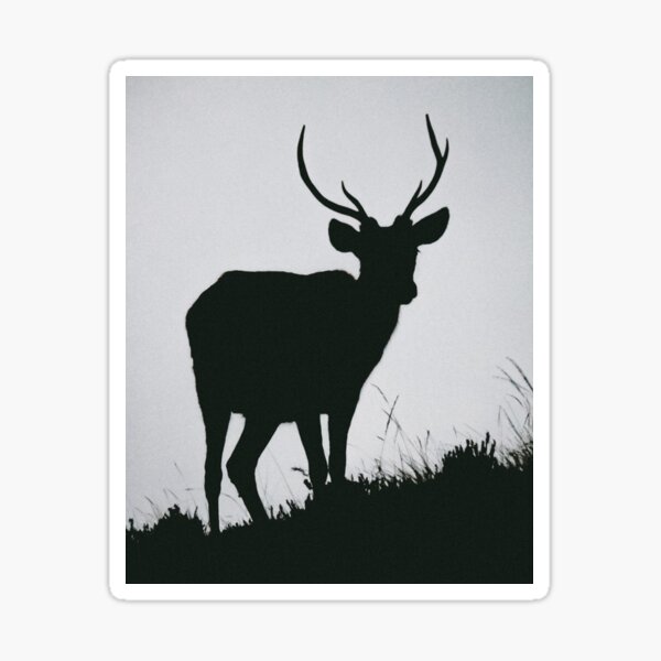 Stag Silhouette | NC500 Scottish Route 66 | ZOE DARGUE PHOTOGRAPHY | Glasgow Travel Photographer Sticker