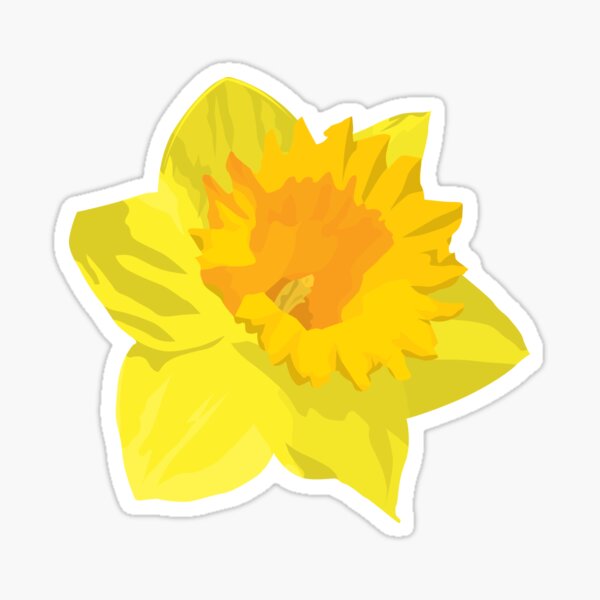 Daffodil Stickers | Redbubble