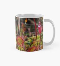 Sundew Mug