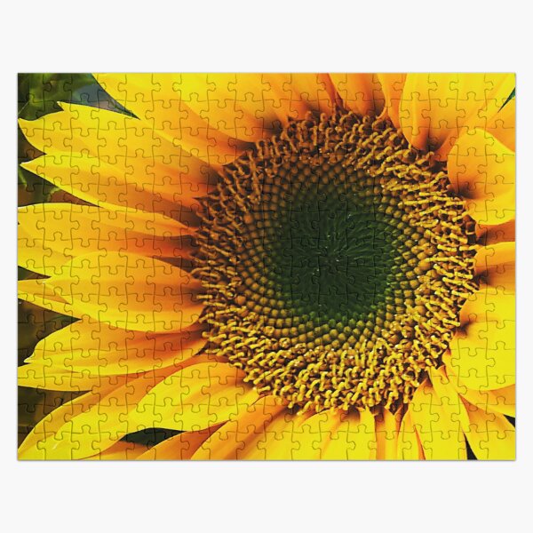 Artikel-Vorschau von Gelbe Sonnenblume, exquisites Kunstfoto, designt und verkauft von DEC02.