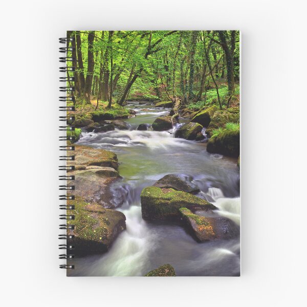 Item preview, Golitha Falls designed and sold by galpinimages.
