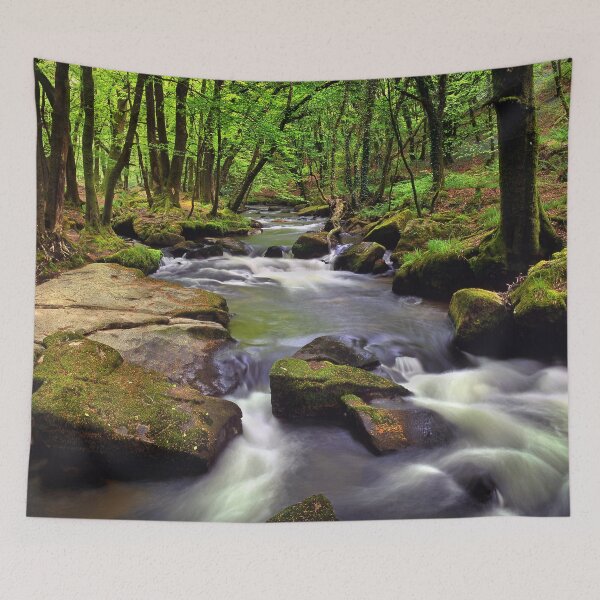 Item preview, Golitha Falls designed and sold by galpinimages.