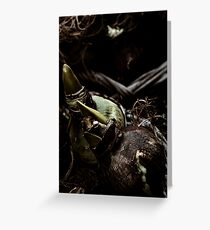 To Seed Greeting Card