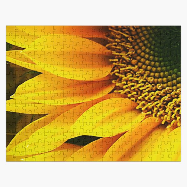 Artikel-Vorschau von Elegantes Side-Crop-Kunstfoto mit gelber Sonnenblume, designt und verkauft von DEC02.
