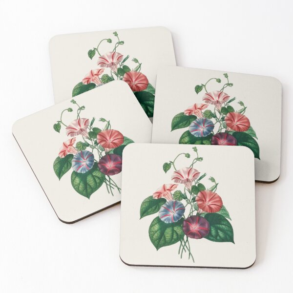 Item preview, Morning-glory (Pharbitis hispida)- Botanical Illustration designed and sold by opptop.