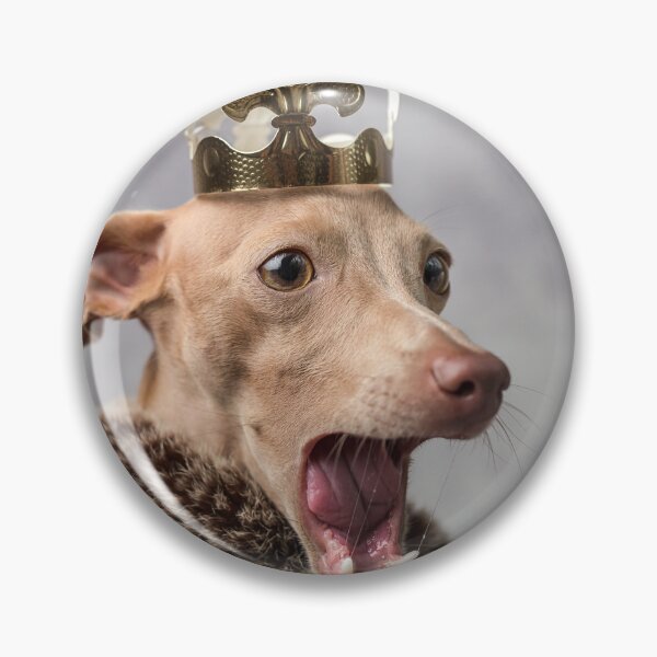 Item preview, Boo Yah dog designed and sold by marwan elsaeed.