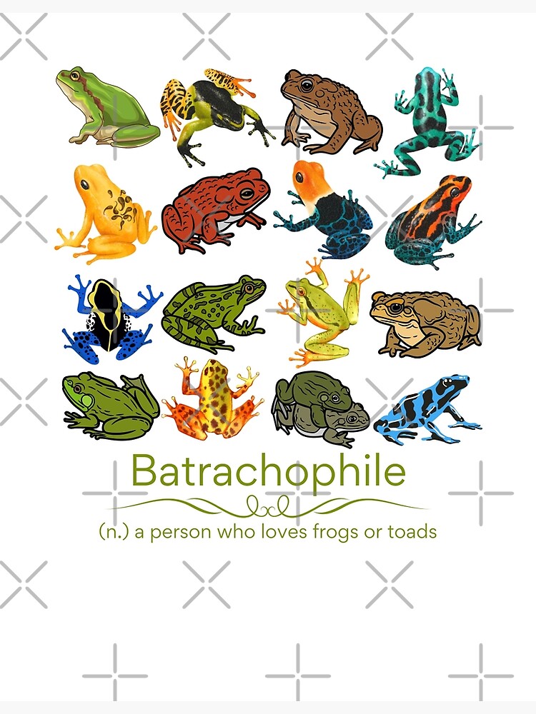 Disover Batrachophile - A Person Who Loves Frogs and Toads Premium Matte Vertical Poster