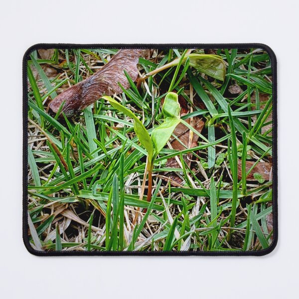 Item preview, New Life designed and sold by Vicky Walter.