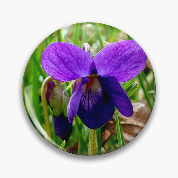Item preview, Dark Purple Violet designed and sold by Vicky Walter.