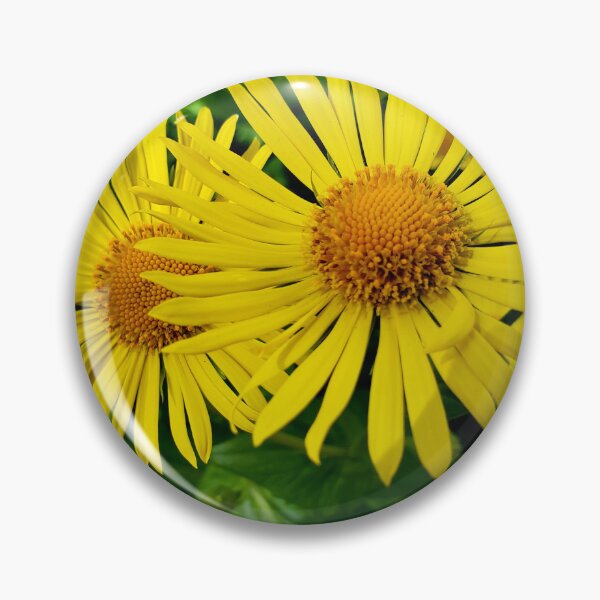 Item preview, Sunshine  designed and sold by Vicky Walter.
