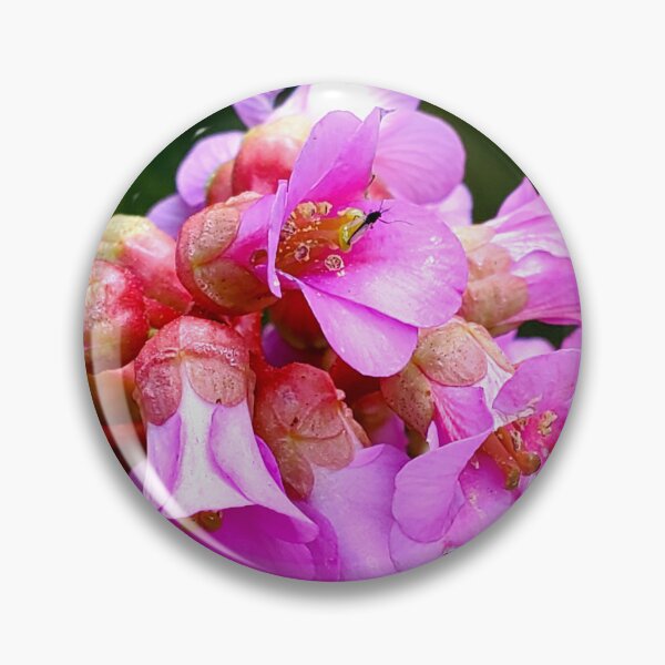 Item preview, Tiny Pollinator designed and sold by Vicky Walter.