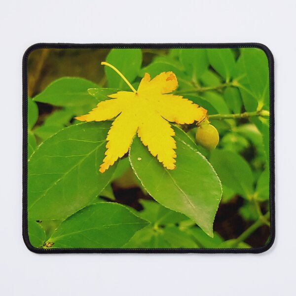 Item preview, Single Little Leaf designed and sold by Vicky Walter.