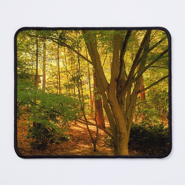 Item preview, Early Afternoon designed and sold by Vicky Walter.