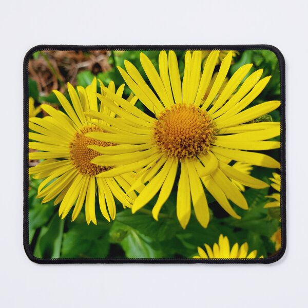 Item preview, Sunshine  designed and sold by Vicky Walter.