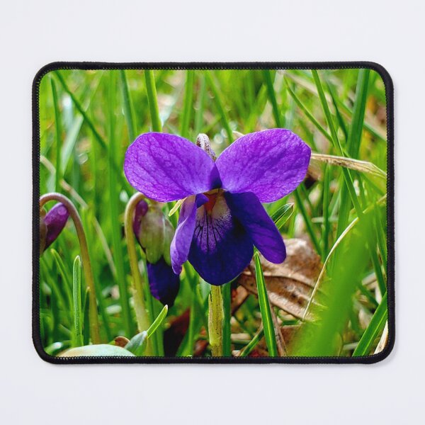 Item preview, Dark Purple Violet designed and sold by Vicky Walter.