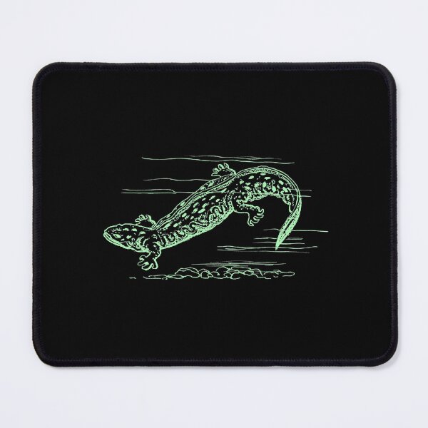 Item preview, Cool Hellbender Salamander Graphic designed and sold by XiskKImich.
